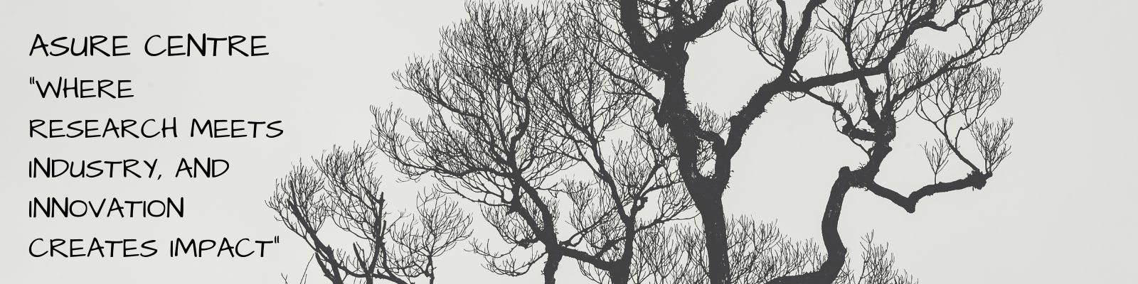 38Banner